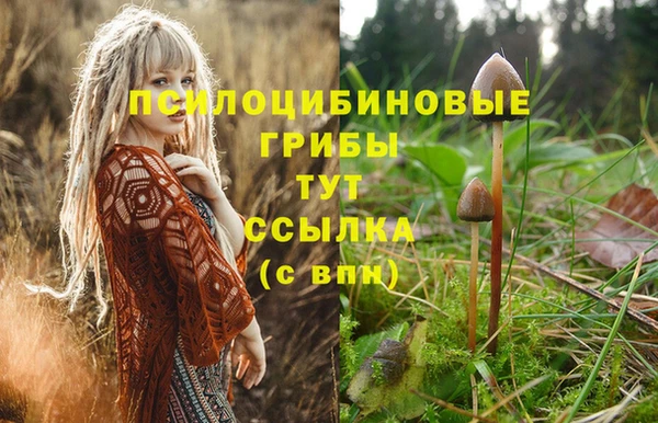 амфетамин Верея