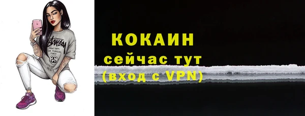 PSILOCYBIN Верхний Тагил