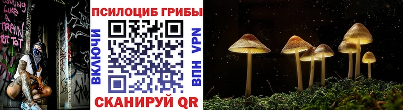 Псилоцибиновые грибы Magic Shrooms  Купить закладки  Клинцы 